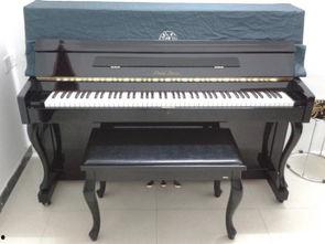 国产玩具成人钢琴视频,成人钢琴视频带你领略音乐之美  第3张