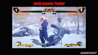 国产格斗游戏大少林视频,国产格斗游戏的武侠传奇