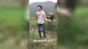 国产精品福利视频推荐