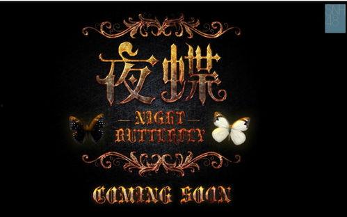 国产夜蝶完整视频,光影交织的梦幻之旅  第1张