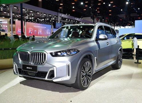 车展国产宝马x5视频,创新科技与豪华体验并重  第3张