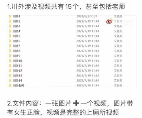 在线国产女厕偷拍视频  第2张