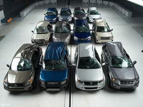 国产车美国测试视频,性能与品质的全球较量  第1张