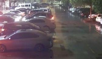 国产老总开保时捷车视频,保时捷豪车彰显实力与品味