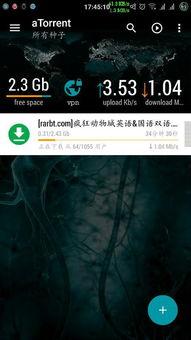 国产视频  磁力,磁力驱动下的创新与变革