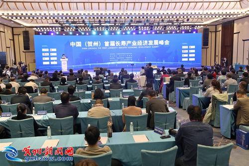 中国产业经济视频讲话,新常态下的变革与发展路径