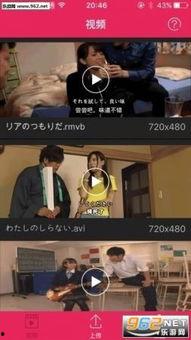 国产欧美视频播放器,融合创新，畅享视听盛宴