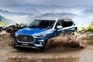 国产suv翻下大桥视频,国产SUV翻下大桥，视频记录惊险一幕