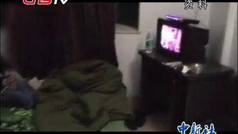 国产男同志兔费视频,探索多元情感世界的窗口