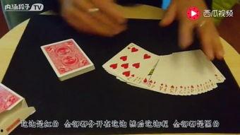 国产扑克牌推荐视频,视频揭秘热门牌型与玩法