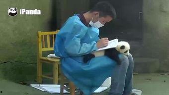 国产小受呻吟视频