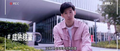 国产剧视频讲解,揭秘热门剧集背后的故事与魅力