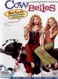 国产美女奶牛视频,揭开神秘面纱的乡村风情