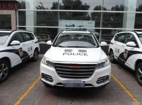 国产警车真实视频,实战视频揭秘警用科技新篇章