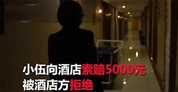 在线国产酒店小视频,隐秘角落里的真实生活片段