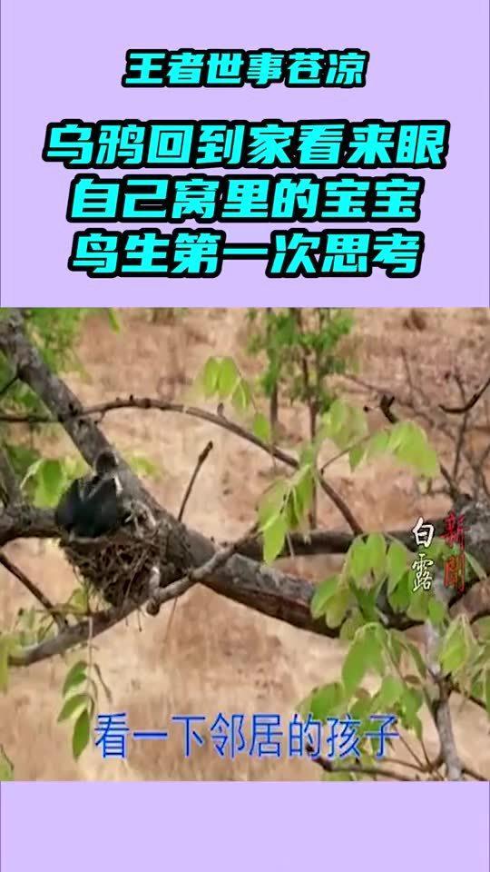 老鸦窝在线视频观看国产