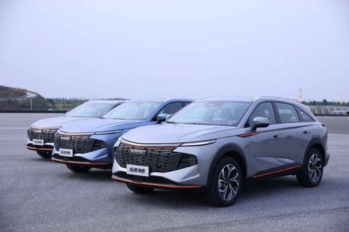 国产suv神仙打架视频,神仙打架，谁主沉浮？